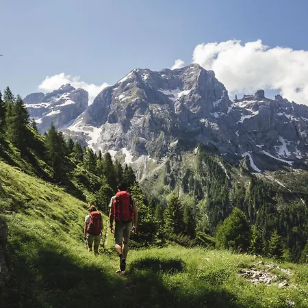 Dolomiti Relax *